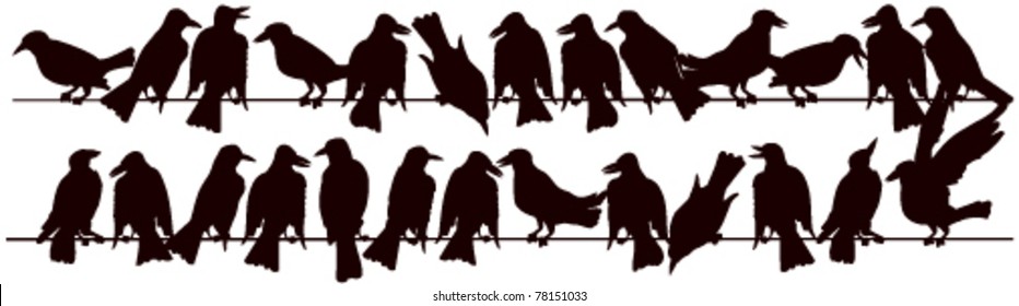 Birds on a wire