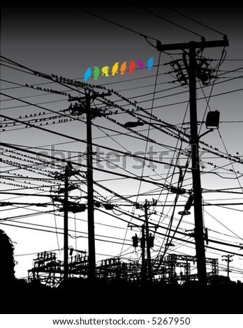 Birds on a Wire