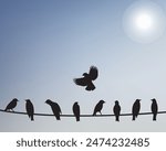 Birds on a wire on a blue background. Vector illustration