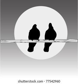 Birds on the wire. Couple on the grey background