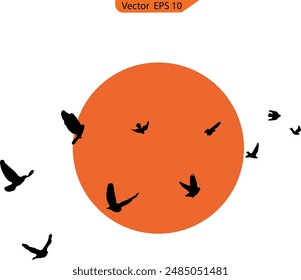 Pájaros en el alambre y la silueta del pájaro volador en el atardecer, fondo transparente. Silueta de aves voladoras. Pájaros voladores de Vector negro acuden en masa.