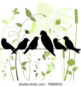 birds on a wire in garden