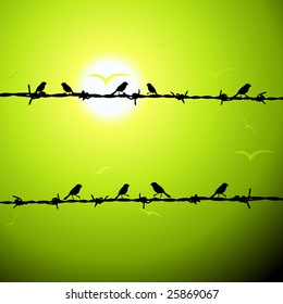 Birds on wire silhouette