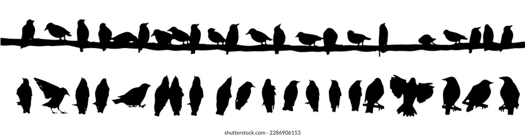 Birds on a wire. Silhouettes of sitting starlings. Birds set . Vector illustration