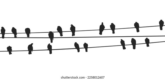 Aves en un cable. Vector