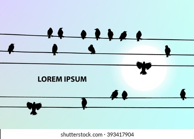 Birds on a wire. Vector