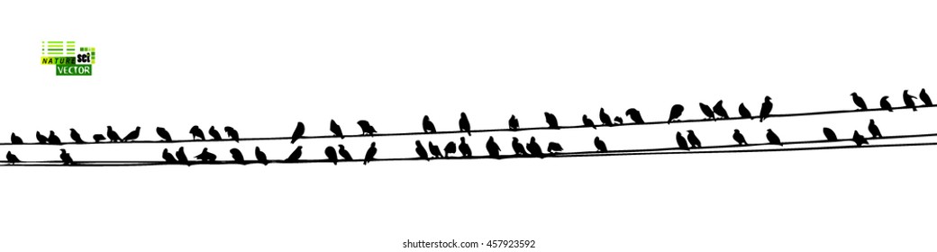 Birds On A Wire. Vector