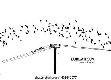 Birds on a wire. Vector