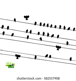 Birds on a wire. Vector