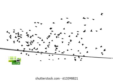 Birds on a wire. Vector