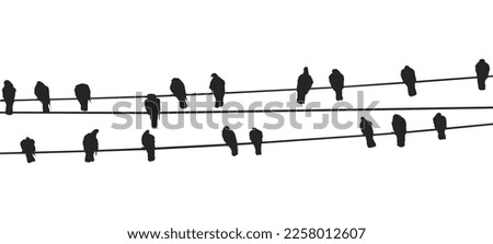 Birds on a wire. Vector
