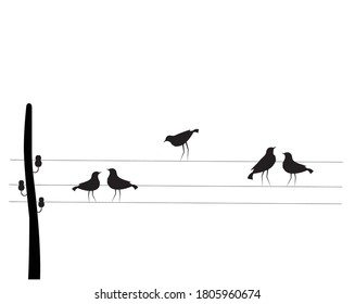 Birds on wire, vector. Electricity poles with birds on wire, illustration. Wall decals, wall art work. Scandinavian minimalist black and white art design. Poster design in retro style. 