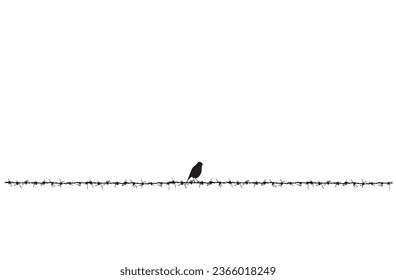 Birds on wire. Vector image. White background. 