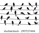 birds on wires