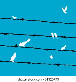 birds on wires