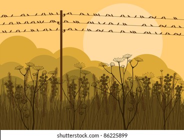 Birds on wires in autumn countryside landscape background illustration