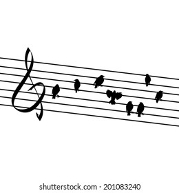Birds on wires like notes. Vector