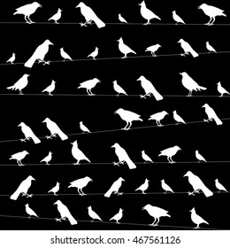 birds on wires picture,vector illustration