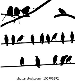 Birds on Wires, silhouette set