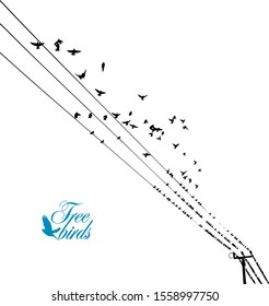 Birds on wires silhouette. Vector illustration