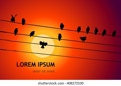 Birds on wires. Vector