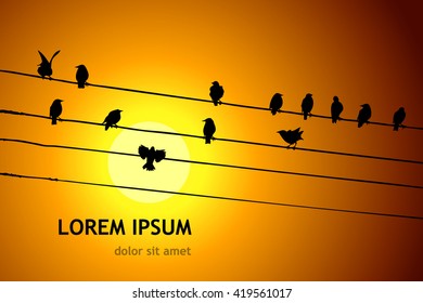 Birds on wires. Vector