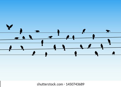 Birds on wires. Vector illustration with silhouette of flock of crows sitting on power lines. Blue pastel background