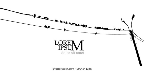 Birds on wires. Vector illustration