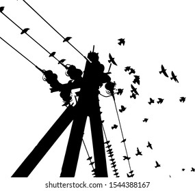 Birds on wires. Vector illustration