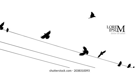 Aves en alambres. Ilustración del vector