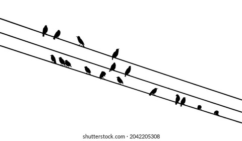 Birds on wires. Vector illustration