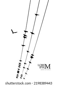 Birds on wires. Vector illustration