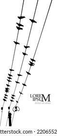 Birds on wires. Vector illustration
