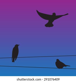 Birds on the wires. Vector illustration.