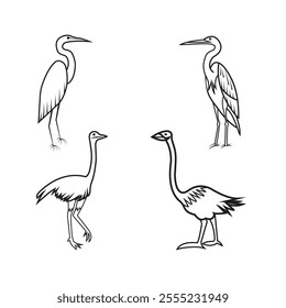 Birds Osttich Heron Silhoutte Design