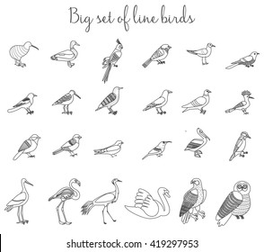 Birds outline thin line illustration icons. Bird set.