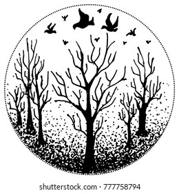 Birds over trees