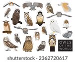 Birds Owls of the World Set Cartoon Vector Character