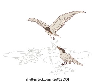 birds pair in spring drawing