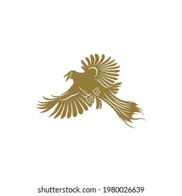 Aves de diseño Paraíso ilustración vectorial, plantilla de concepto de diseño del logo de Aves Creativas del Paraíso, iconos de símbolos