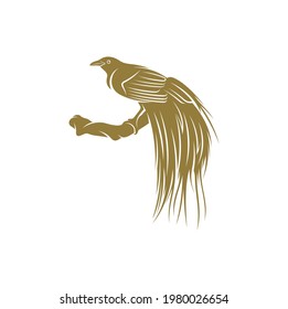 Aves de diseño Paraíso ilustración vectorial, plantilla de concepto de diseño del logo de Aves Creativas del Paraíso, iconos de símbolos