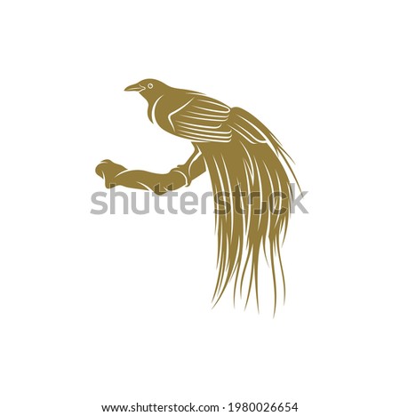 Birds of Paradise design vector illustration, Creative Birds of Paradise logo design concept template, symbols icons