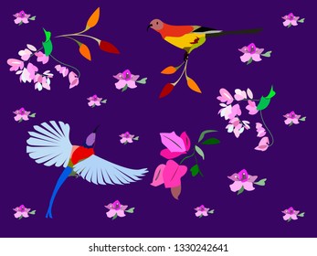 Birds of Paradise in spring