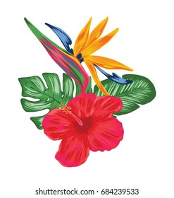 Birds of Paradise with Tropical Flowers.  Floral Tropical Vector Composition.