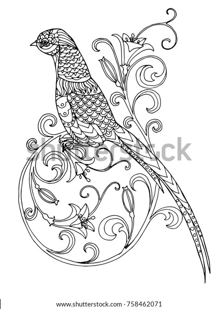 670+ Birds Of Paradise Coloring Book Picture HD 670+ Birds Of Paradise Coloring Book Picture HD