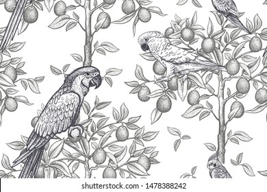 Birds parrots on the branches of citrus trees. Black-white seamless pattern. Vector illustration art. Vintage. Graphic drawing. For textiles, wrapping paper, wallpaper, curtains, interior design.