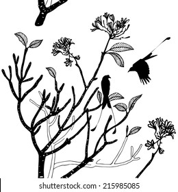 Birds pattern