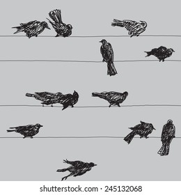 Birds pattern. Vector seamless  background of birds Silhouettes on electrical wires  