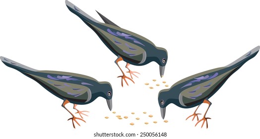 Birds Pecking Images, Stock Photos & Vectors | Shutterstock