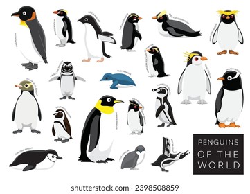 Birds Penguins of the World Set Cartoon Vector Character